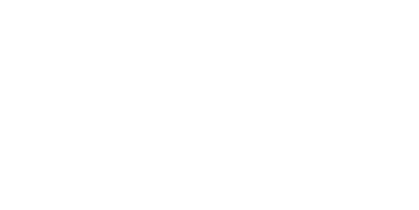 turner family foundation logo